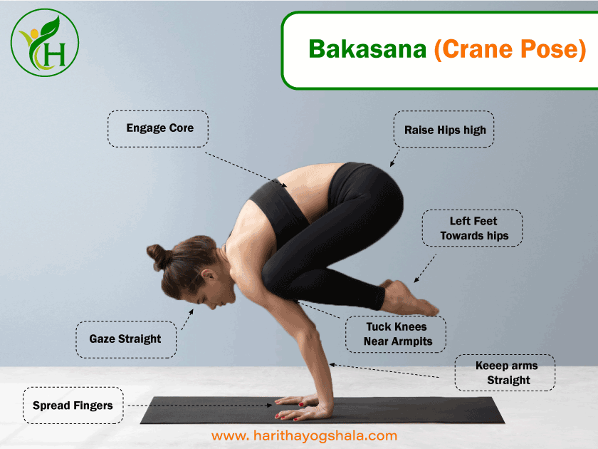 Infographics of Bakasana (Crane Pose)
